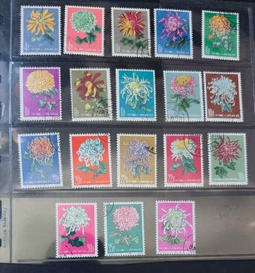 China - Chrysanten en miniaturen