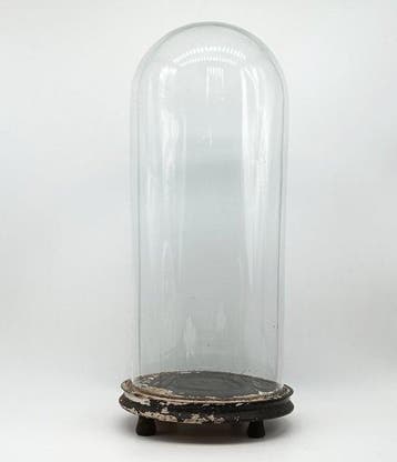 Stolp - Hout, Glas - 1850-1900 - Koepelvormige vitrine