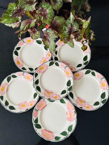 Villeroy & Boch - Assiette (6) - wild-Rose - Porcelaine