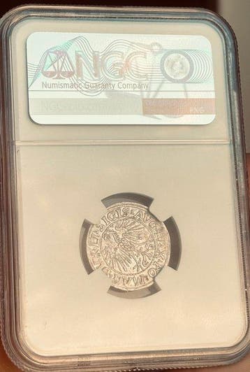 Polen, Litouwen. 1/2G 1547 NGC MS63