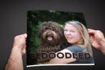 Ben je nu helemáál Bedoodled 9789082095609 Mariëlle Lentjes, Verzenden, Zo goed als nieuw, Mariëlle Lentjes