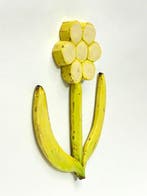 Koji Kasatani - Banana Blooms