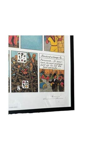 Tintin - Lithographie Hergé WWF - Tintin le temple du soleil