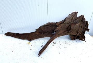 Osaka XL147 uniek aquarium decoratie hout  175x60x70cm, Ophalen of Verzenden, Nieuw, Plant(en), Steen of Hout
