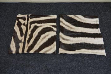 real zebra skin covers - Kussen (2)