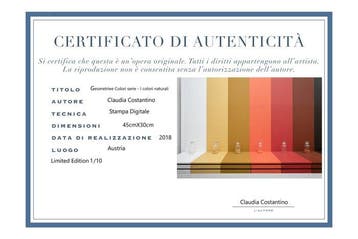 CLAUDIA COSTANTINO - I COLORI NATURALI, Antiek en Kunst