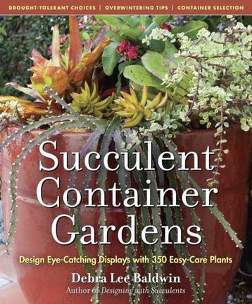 Succulent Container Gardens 9780881929591 Debra Lee Baldwin, Verzenden, Debra Lee Baldwin