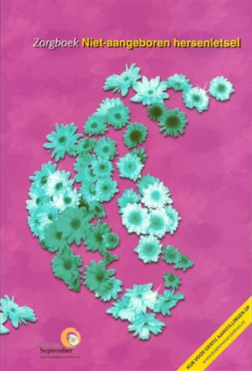 Niet-aangeboren hersenletsel / Zorgboeken 9789086480418, Verzenden