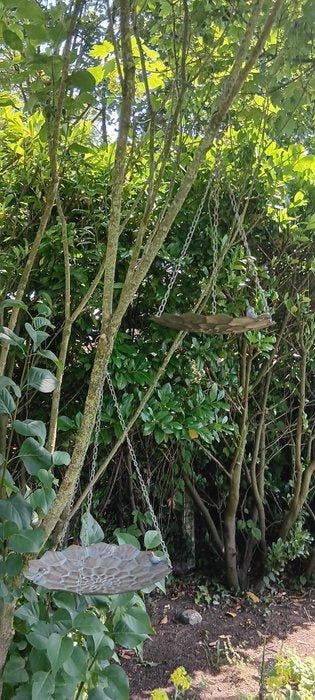 Vasque pour oiseaux (2) - fonte - Gamelles dabreuvement