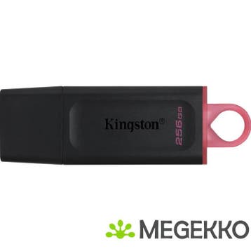 Kingston DataTraveler Exodia 256GB, Verzenden, Nieuw