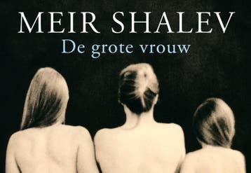 De grote vrouw / Dwarsligger / 64 9789049800567 Meir Shalev, Verzenden, Meir Shalev