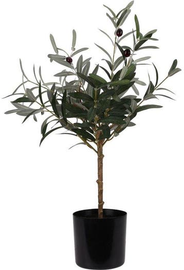 2dekans | Kunstplant Olijfboom 45x66 cm Groen, Ophalen of Verzenden, Nieuw