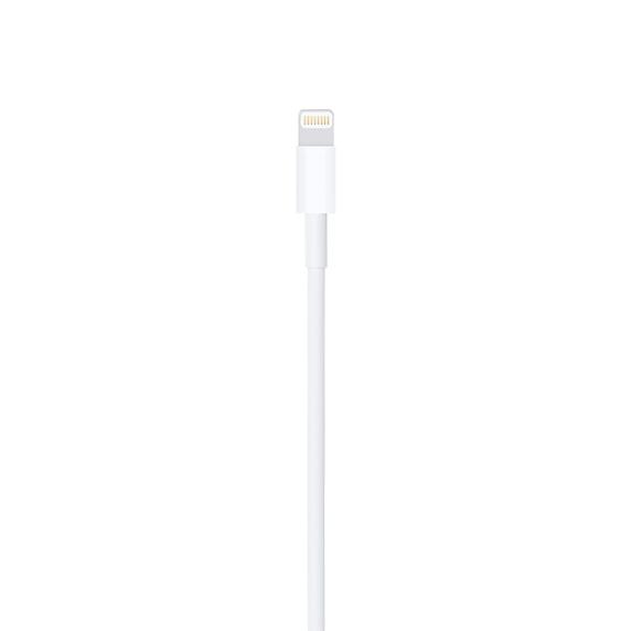 Apple Lightning-naar-USB-kabel - 0.5 meter - ME291ZM/A, Télécoms, Téléphonie mobile | Accessoires & Pièces, Enlèvement ou Envoi