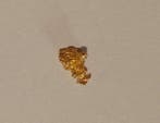 Goud Goud nugget- 0,23 g - (1), Verzamelen