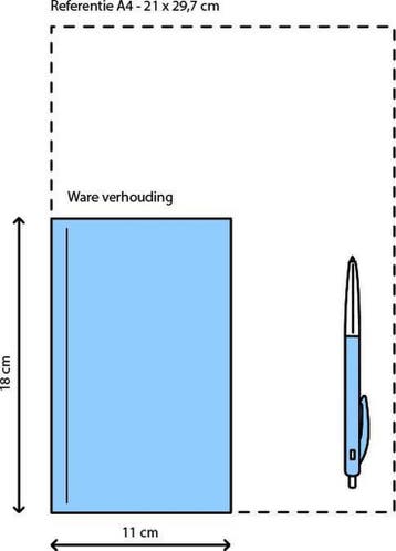 Prisma woordenboek / Nederlands-Engels / Prisma, Verzenden, A.F.M. de Knegt