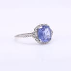 Zonder minimumprijs - Ring Platina - 2.59ct. tw. Saffier -, Nieuw