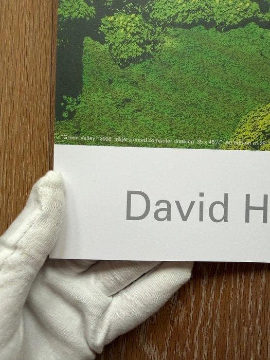 David Hockney - Green Valley, 2008, copyright David, Printed, Antiquités & Art, Art | Dessins & Photographie