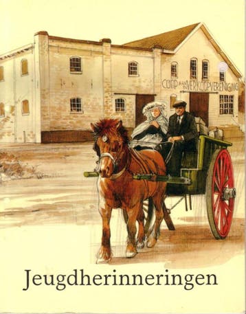 Jeugdherinneringen 9789090070889 Sleeuwen, Boeken, Streekboeken en Streekromans, Verzenden, Gelezen, Sleeuwen