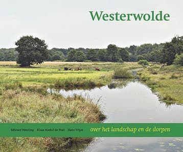 Westerwolde 9789033009310 Klaas Roelof de Poel, Verzenden, Gelezen, Klaas Roelof de Poel