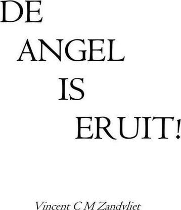 De angel is eruit! 9789086030798 Vincent C.M. Zandvliet, Verzenden, Zo goed als nieuw, Vincent C.M. Zandvliet