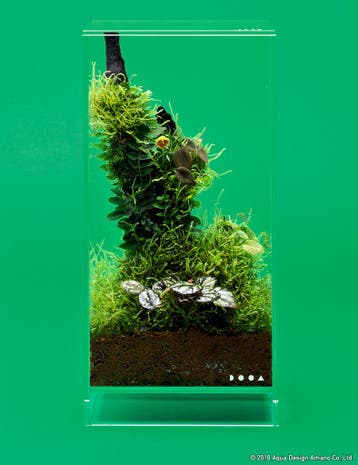 DOOA Neo Glass AIR, Dieren en Toebehoren, Verzenden, Nieuw