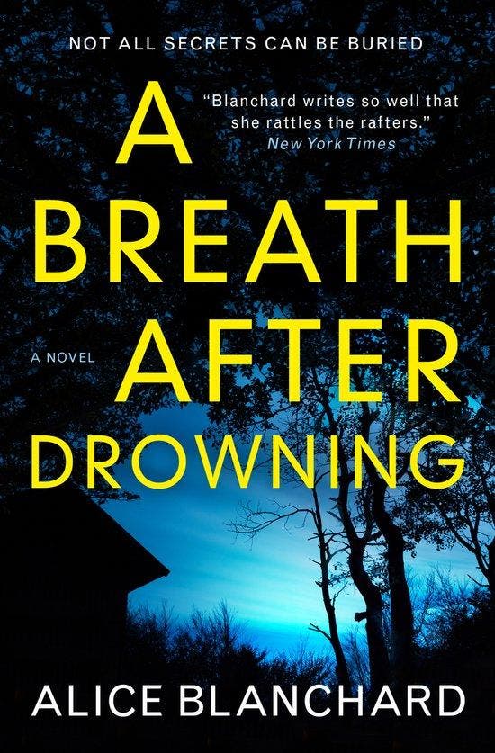A Breath After Drowning 9781785656408 Alice Blanchard, Boeken, Taal | Engels, Zo goed als nieuw, Verzenden