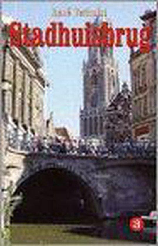 Stadhuis-Serie 03 Stadhuisbrug 9789034301468 R. Verhulst, Livres, Livres Autre, Envoi