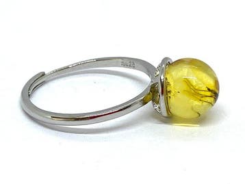 De Tijdcapsule Ring: Ronde Baltische Barnsteen met een, Antiek en Kunst