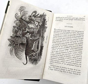 Thomas Smith - Le Cabinet du jeune naturaliste - 1821