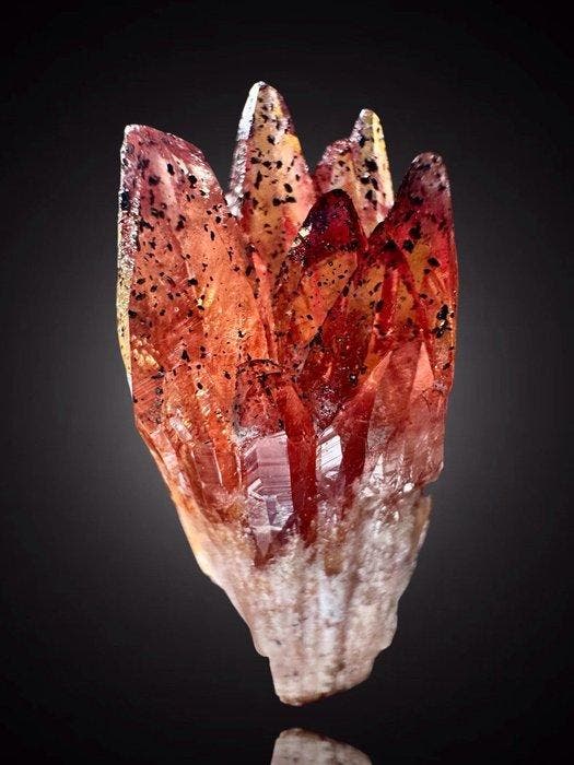 Rhodochrosiet uit Zuid-Afrika van absolute en zeldzame, Verzamelen, Mineralen en Fossielen