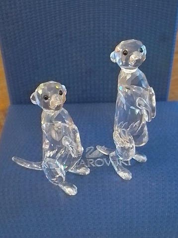Swarovski - Beeldje - Meerkats - 5135929 - Box + Certificate