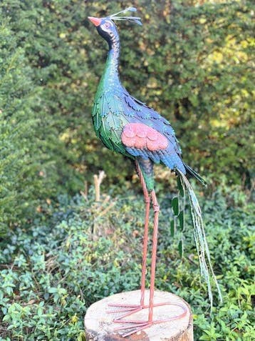 Sculpture, Prachtige grote pauw - 76.5 cm - Fer