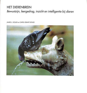 Het Dierenbrein: Bewustzijn, leergedrag, inzicht en, Verzenden, Nieuw