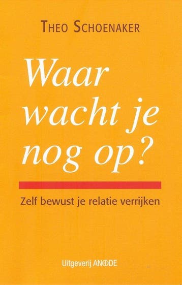 Waar Wacht Je Nog Op? 9789076907031 Theo Schoenaker, Verzenden, Gelezen, Theo Schoenaker