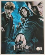Harry Potter - Jessica Hynes (Mafalda Hopkrirk) - Autograph,