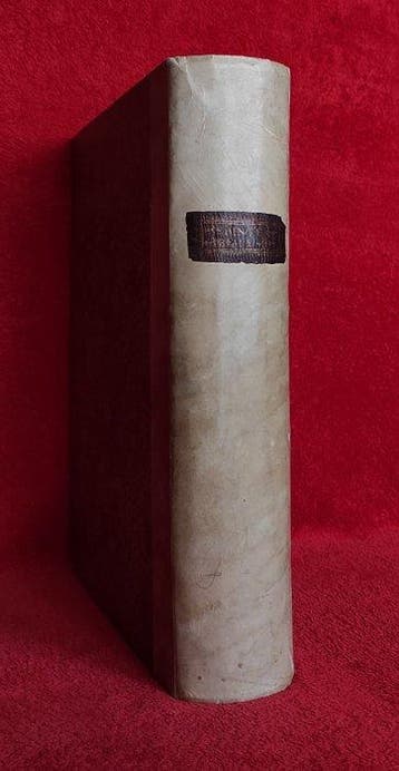 [Folio 37 cm, 4kg] LA SAINCTE BIBLE [Illustrated with 256