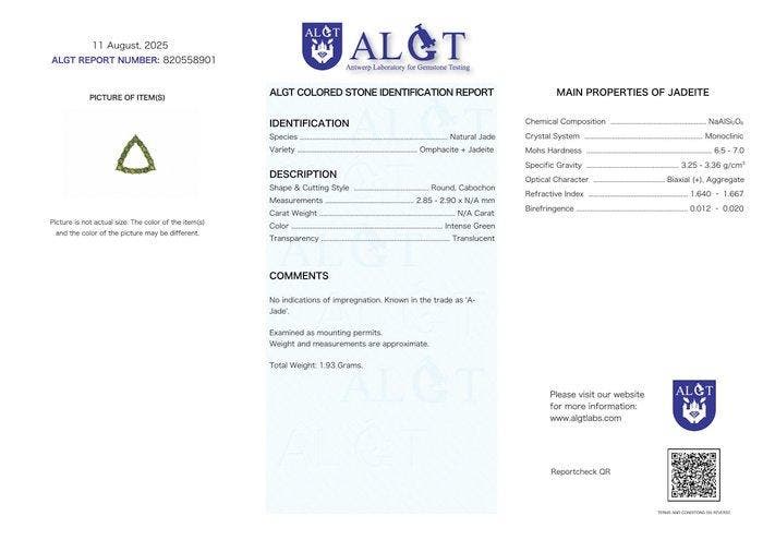 Geen reservering - ALGT-gecertificeerd - Zeer exclusiene, Verzamelen, Mineralen en Fossielen