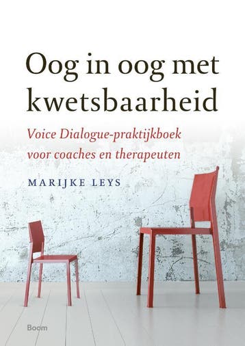 Oog In Oog Met Kwetsbaarheid | Marijke Leys | Nieuw, Verzenden, Marijke Leys