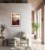 Viet Ha Tran - The last sunlight