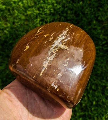 Amber - Barnsteen - XL Gold Amber HQ Freeform Barnsteen - 10