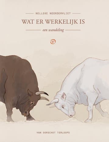 Wat er werkelijk is / Terloops 9789028211124, Verzenden, Zo goed als nieuw, Nelleke Noordervliet