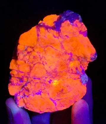 Rijk fluorescerend paars hackmanietmonsterspecimen uit