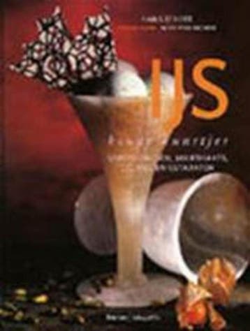 IJS KOUDE KUNSTJES 9789020937206 H. Dheer, Boeken, Verzenden, Zo goed als nieuw, H. D'heer