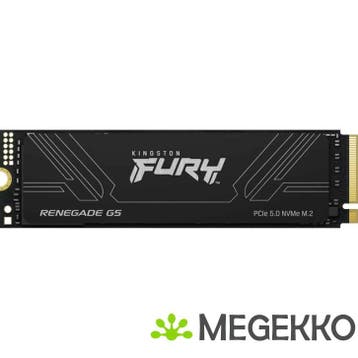 Kingston SSD FURY Renegade G5 4TB, Verzenden