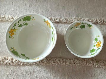 Villeroy & Boch - 2er Set Schüsseln / Servierschalen –