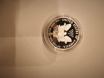 Verenigde Staten. 1 Dollar 1995, Silver American Eagle, 1 Oz