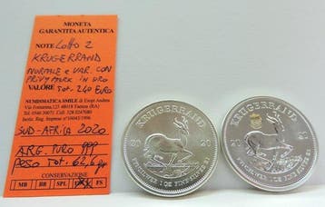 Zuid-Afrika. Krugerrand 2020 (2 coins) (Zonder minimumprijs)