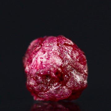 Intense Levendige Rode Diamant • GEEN MINIMUMPRIJS •