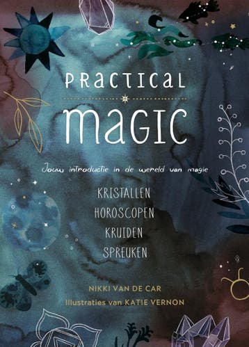 Practical magic (9789000367399, Nikki Van de Car), Livres, Livres Autre, Verzenden