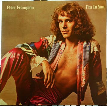 Peter Frampton - Im In You, Verzenden, Gebruikt